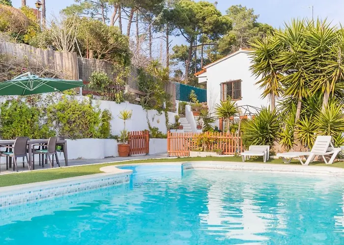 Palme -