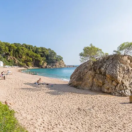 Palme - Villa Lloret de Mar